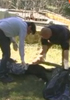 Il video del ritrovamento di due cani avvelenati. Nel frattempo il sindaco emette unordinanza
