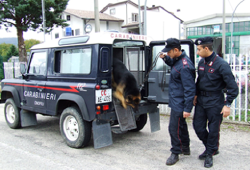 Controlli a tappeto dei carabinieri per armi e droga in provincia